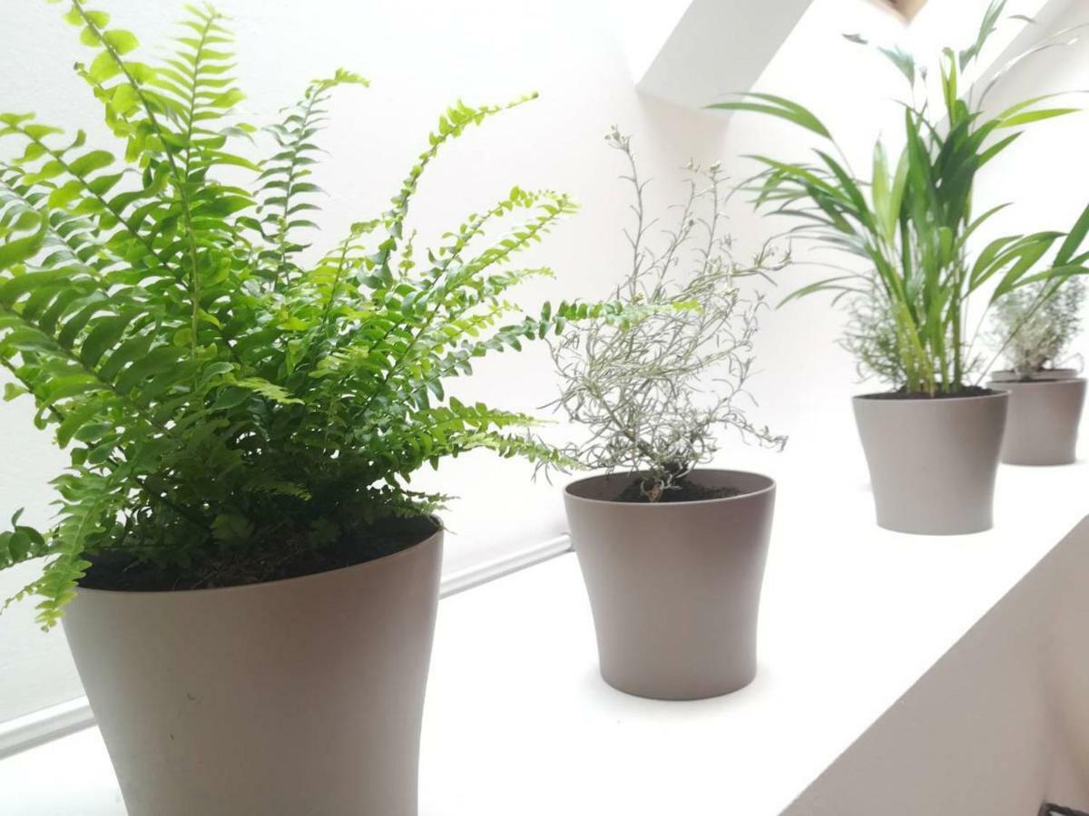 Center 23 - Old Town Apartma *